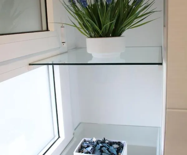 ゲストハウス Baixo A Lua Rooming 4*